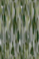 Moooi Carpets - Vloerkleed Akira - Rectangle Moss Wool -