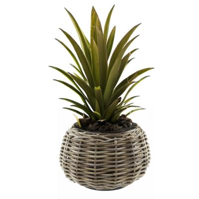 Planten/bloemen mand - Tina - cilinder - rotan - gevlochten riet - D30 x H19 cm - drypot
