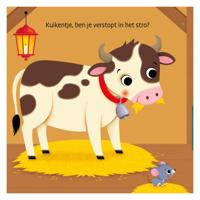 Deltas Waar is het kuikentje? flapjesboek