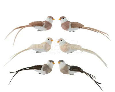 Kerstornament Vogel Clip Assorti 2st