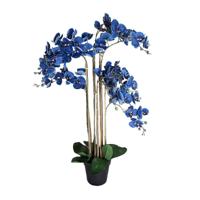 Phalaenopsis Orchidee in pot 110 cm Blue kunstplant Buitengewoon de Boet - Buitengewoon de boet