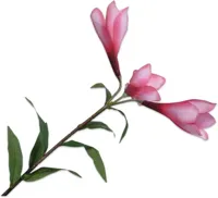Silk-ka kunsttak lelie 89cm mauve