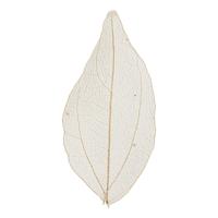 Creativ Company Skeleton leaves naturel gedroogde bladeren, 20st. Creativ Company Skeleton leaves naturel gedroogde bladeren, 20st.