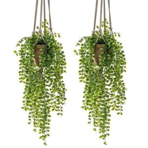 2x Kunstplanten hangplant Ficus in pot met touwen 16 cm