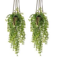 2x Kunstplanten hangplant Ficus in pot met touwen 16 cm - thumbnail