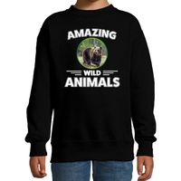 Sweater beren amazing wild animals / dieren trui zwart voor kinderen