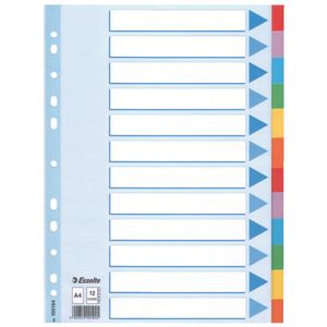 Esselte Multi-coloured Cardboard Dividers schutkaart 10 stuk(s)