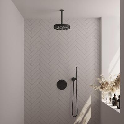 BRAUER Stripe Thermostatische Inbouw Regendouche - 3-weg - rond - SET 39 - 25cm douchekop - plafondarm - staaf handdouche - doucheslang - wandaansluitbocht - mat zwart 5-S-441