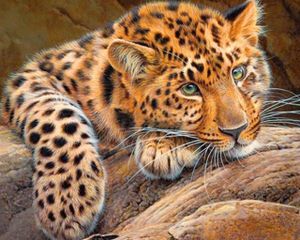 Diamond Painting Canvas Luipaard - 40 x 50 cm