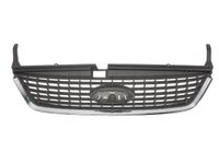 Radiateurgrille 6502072556992P