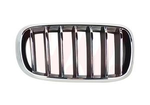 Grille R. Sierrooster 0690514