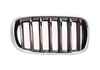 Grille R. Sierrooster 0690514