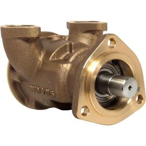 Jabsco Pump Brz Flg 080 Bsp Default