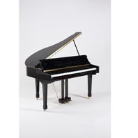 Oostendorp Digital Classic Mini Grand Deluxe IV PE messing - thumbnail