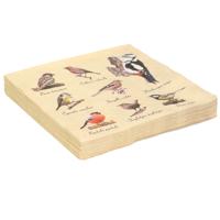 20x Papieren servetten met vogels print - 33 x 33 cm - tuinvogels - 3 laags