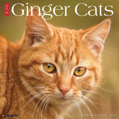 Rode Katten Kalender 2026
