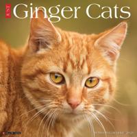 Rode Katten Kalender 2026