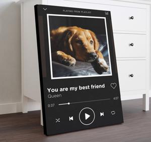 Canvas schilderij muziek Spotify