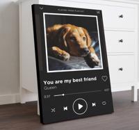 Canvas schilderij muziek Spotify