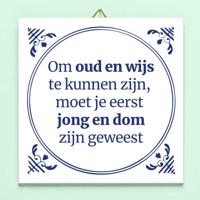 Tegeltje Jong en dom