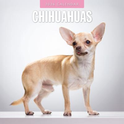 Chihuahua Kalender 2026