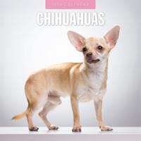 Chihuahua Kalender 2026