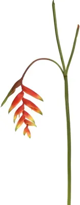 Pure Royal kunsttak heliconia 130cm rood