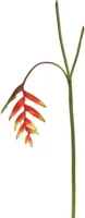 Pure Royal kunsttak heliconia 130cm rood