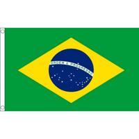 Klein formaat supporters landen vlag Brazilie - 60 x 90 cm - Landen feestartikelen - polyester