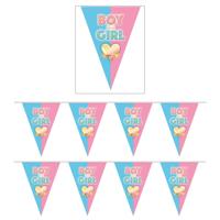 Gender reveal babyshower thema vlaggetjes slinger - 2x - 5 meter - puntvlaggetjes