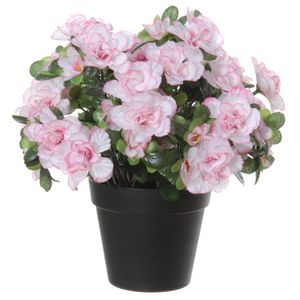 Azalea Kunstbloemen - in pot - wit/roze - H28 cm