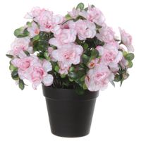 Azalea Kunstbloemen - in pot - wit/roze - H28 cm