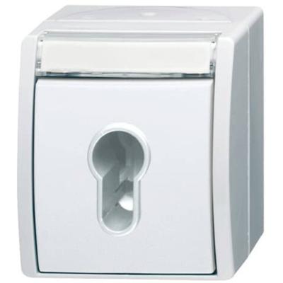 ABB 2CKA001101A0925 2733 SLW-54 Sleutel IP44 1 stuk(s)