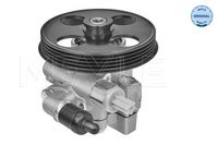 Servo pomp 6146310018
