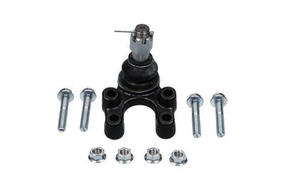 Fuseekogel SBJ6567