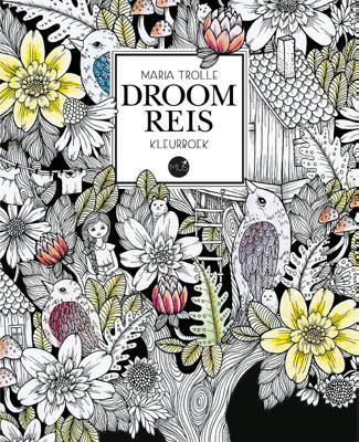 Droomreis kleurboek (Hardback)