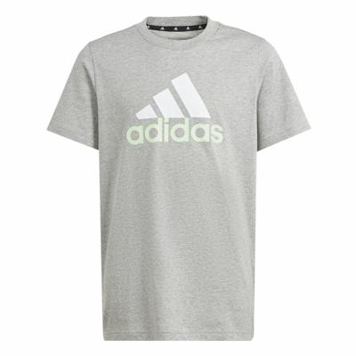T-Shirt met Korte Mouwen Adidas Big Logo 2 Grijs - Maat: 13-14 Jaar
