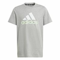 T-Shirt met Korte Mouwen Adidas Big Logo 2 Grijs - Maat: 13-14 Jaar