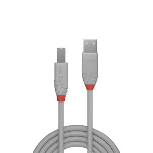 Lindy 36682 1m USB A USB B Mannelijk Mannelijk Grijs USB-kabel