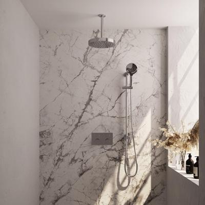 BRAUER Stripe Thermostatische Inbouw Regendouche - drukknoppen - SET 36 - 25cm douchekop - plafondarm - 3-standen handdouche - doucheslang - geïntegreerde glijstang - chroom 5-CE-435