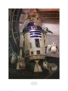 Kunstdruk Star Wars The Last Jedi R2D2 and Porgs 60x80cm