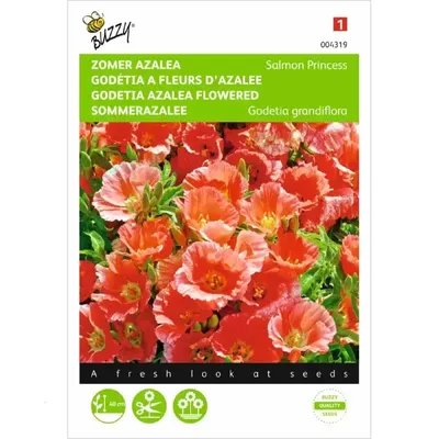 Godetia, Zomer Azalea Salmon Princess