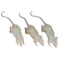 Nep ratten 7 cm - glow in the dark - 3x stuks - Horror/griezel thema decoratie dieren