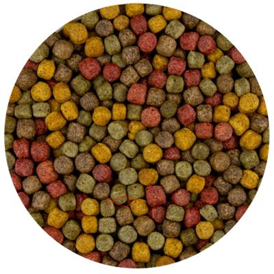 Pond Pro Multi Kwartet Mix 6mm - Uitgebalanceerde Koi Vijvervoeding 5kg - Gezondheid & Kleur