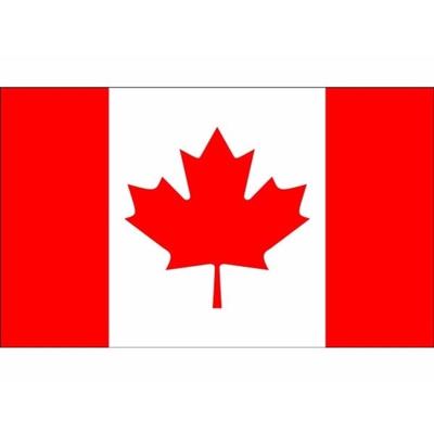 Klein formaat supporters landen vlag Canada - 60 x 90 cm - Landen feestartikelen - polyester