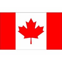 Klein formaat supporters landen vlag Canada - 60 x 90 cm - Landen feestartikelen - polyester