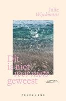 Dit is niet voor niets geweest - Julie Wijckmans - ebook