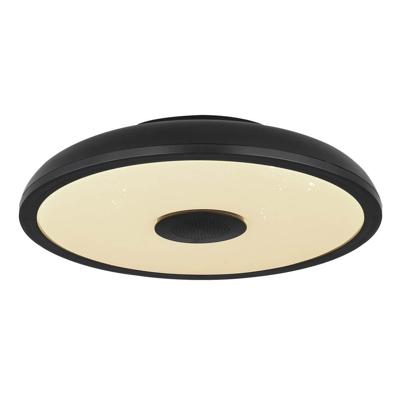 Globo Zwarte plafonniereRaffy Ø 28cm - 41366B