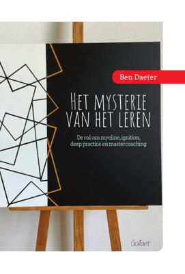 Het mysterie van het leren (Paperback)