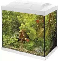 Start 50 tropical kit - wit Start 50 tropical kit - wit